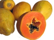 thai million fruits co.